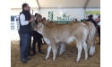 JENTE DAME, Fille de BIVOUAC, Lycée Agricole de St Aubin du Cormier 35